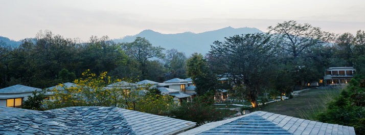 2528/lebua - Jim Corbett National Park 10.jpg